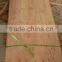 Sliced cut Eucalyptus Core Veneer for blockboards