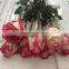 Fresh Cut Roses Fresh Flowers From Kunming