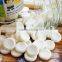ZP35/37/41D Round and Irregular Shape Candy and Milk Tablet Press Machine, Compression Machine