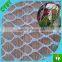 2015 brand new agricultural pe net hdpe bird netting for Vineyard grape planting
