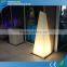 Christmas Yard Decorations Remote Control Rechargeable Floor Lamp LED