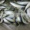 150-200g Frozen Horse Mackerel Fish