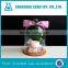 Glass Cover Preserved Flower Cover