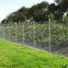 high security PVC coated diamond wire mesh fence with razor wire