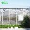Agriculture greenhouse, polycarbonate greenhouse with black-out system for medical planting