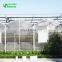 SHINEHWA Complete polycarbonate greenhouse low cost greenhouse