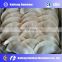 Industrial Home dumpling making machine/Home dumpling maker
