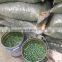 FORST Fiberglass Painting Room Spray Booth Filter
