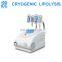 Mini style 2 cryo handles weight loss cryolipolysis machine for sale