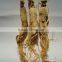 Best Price White Panax Ginseng with Tails, Panax Ginseng