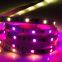 China Factory Direct Selling DC12V High Brightness LC8806 5050RGB 30leds/m Backlight Ws2811 Led Strip Lights