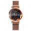 Relojes SKMEI 1709 Magnet Mesh Strap Lady Watch Quartz Wristwatches For Women