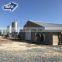 Pakistan Sale Control Shed Poultry Farming Chicken Farm Building Cost low