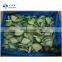 Sinocharm Healthy, fresh and delicious IQF Zucchini  Green Zucchini  Frozen Zucchini