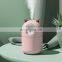 2021 Cute Cat New Design  Cool Mist Humidifier 300ml Water With  Led Lights