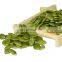 Chinese Organic Grade AA pumpkin Seeds Pumpkin kernel Snow White Shine Skin pumpkin nuts for Sale