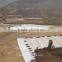 160gr/m2 PET Long Fiber Nonwoven Geotextile Fabric