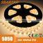 Popular selling in UK wholesale 60led per m 3528 5050 flexible led strip