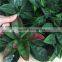 China wholesale 50x50cm artificial fake boxwood artificial carpet