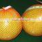 color pomelo (shaddock)