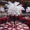 Red white black ostrich feathers for Wedding decoration