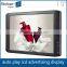 FlintStone promotional loop video advertising 1080P 19 inch lcd media player