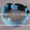 dog collar led lights