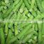 IQF frozen Green beans with good quality and hot price