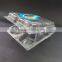 PET Disposable blister Fruit Clamshell