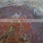 Arizona petrified wood coffee table