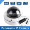 1/3" OV4689 4.0MP Network Outdoor Dome IP Camera With POE WaterproofIP66, 4MP(2592*1520) OR 3MP(2048*1536)Fisheye 5MP 1.7MM Lens