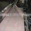 stainless steel/carbon steel top chain conveyor