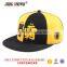 Custom Flat Brim Rasied 3d Embroidery Snapback Cap