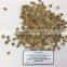 GREEN ROBUSTA COFFEE (skype: davis.thong, phone +84 986 778 999)