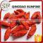 USDA certificated organic dried goji berries ningxia wolfberry Chinese red goji on sale