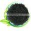 Machine Dried Kelp Laminaria 2016 harvest cut dried kelp