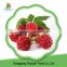 High quality iqf fruits and frozen raspberry crumble