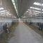 Cattle Farm Equipment Farm 6 Blades Aluminum Exhaust Fan