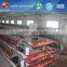 rooster chicken cage equipment for big poultry farm