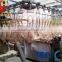 Commerical CE certificate chicken livestock abattior machine