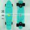 Wholesale Plastic Skateboard,PP Skateboard