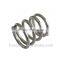 Stainless Steel Compression Spring