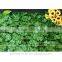 BOX021-1 GNW artificial grass turf for garden fencing as metal garden decoration