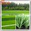 Professional 40mm Height UV Resistance Artificial Turf for Football Pitch