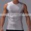 high quality brand new men's fitness t shirt, dri fit fabric