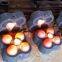 traditionally processing alloy casting chromium grinding media balls