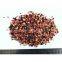 Freeze Dried Black Currant