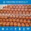 ISO/TPED/DOT Low Pressure Empty LPG Gas Cylinder/ LPG Tank