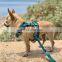 Comfort Pattern printing adjustable dog harness custom name