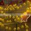 decorative Led waterproof holiday curtain strip summer lemon Lights garden home indoor outdoor decoration fairy light